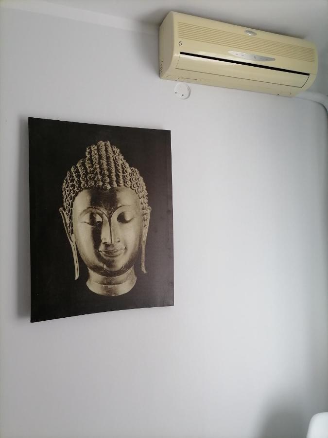 Bega Circumvalatiunii 1 Room Apartment 蒂米什瓦拉 外观 照片
