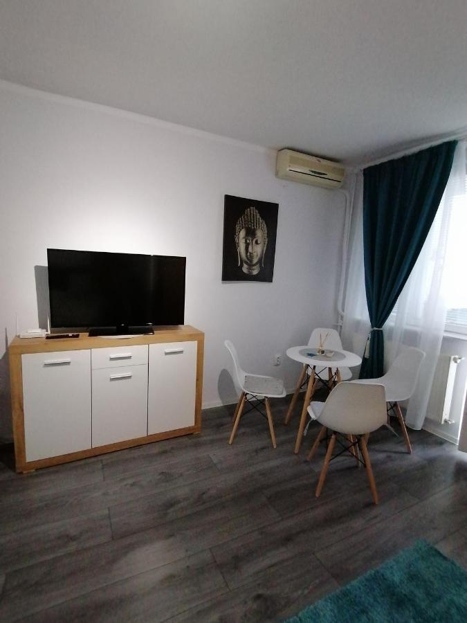 Bega Circumvalatiunii 1 Room Apartment 蒂米什瓦拉 外观 照片