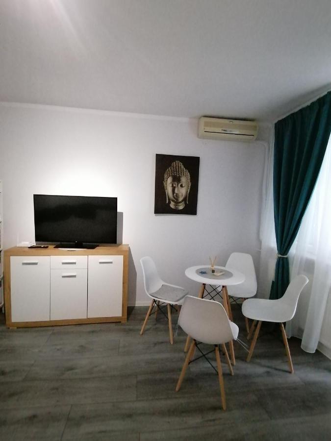 Bega Circumvalatiunii 1 Room Apartment 蒂米什瓦拉 外观 照片