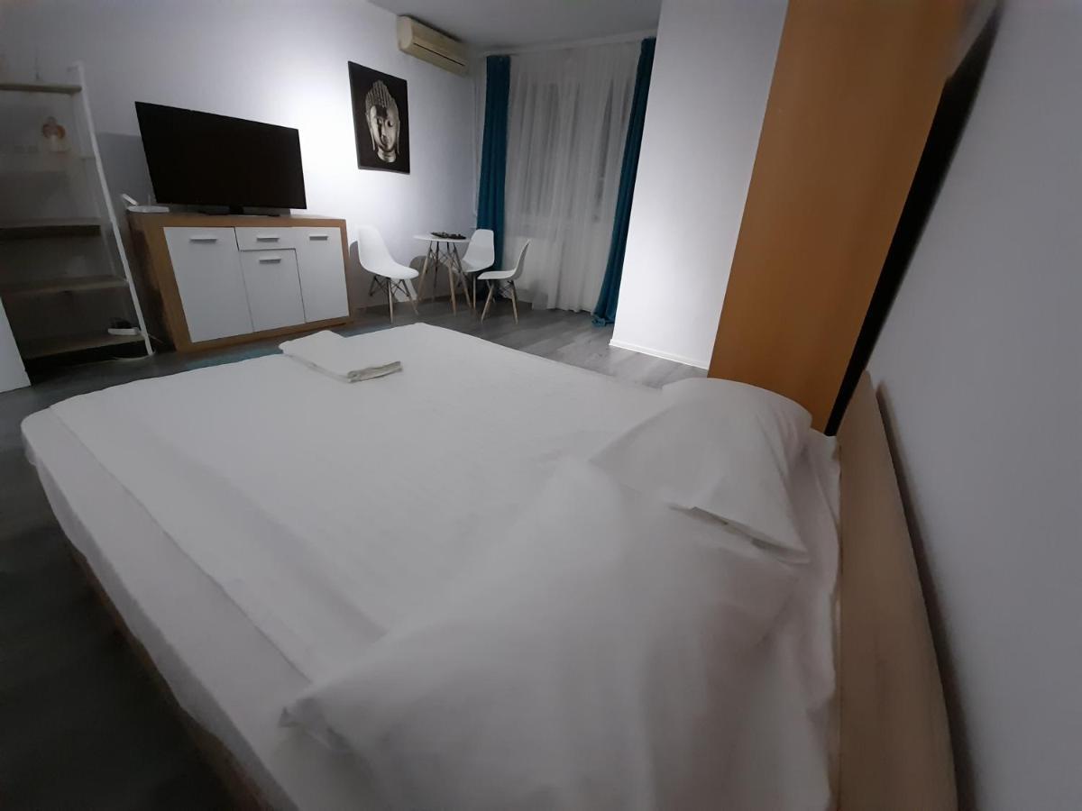 Bega Circumvalatiunii 1 Room Apartment 蒂米什瓦拉 外观 照片